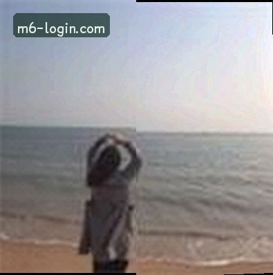 赵雷